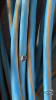 (2) EXTENSION CORDS - 6