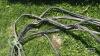 (3) CORDS WITH 230VOLT CORD ENDS. OUTER INSULATION ON ONE IS WORN THROUGH - 7