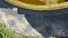 PAIR OF PETLAS 230/95R44 SPRAYER TIRES - 4