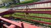 WHITE FARM EQUIPMENT SWATHER MODEL 6200 - 12