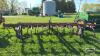 INTERNATIONAL 13FT CULTIVATOR - 4