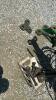 GREAT PLAINS SOLID STAND 15FT NO-TILL SEED DRILL - 27