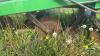 JOHN DEERE 2810 5-FURROW PLOW - 9