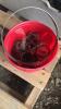 LOT OF SPRINGS, U-BOLTS, AND GEAR CLAMPS - 3