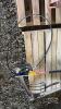 POWER WASHER WAND EXTENSION, PITCHFORK, AND SCYTHE - 3