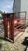 CATTLE CRATE WITH HEADGATE - 3