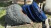 ASSORTMENT OF LAWN SWEEPER BRISSELS - 2