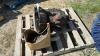 4 SPEED TRANSMISSION WITH HYDRAULIC PUMP - 3