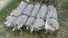 (5) ELECTRIC NET FENCES - 4