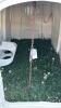 AGRI PLASTIC POLY CALF HUTCH - 2