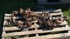 15FT AND 25FT LOGGING CHAINS - 2