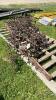 10FT CHAIN HARROW