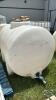 525 GALLON POLY TANK WITH LID