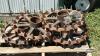 (4) BRILLION SPROCKET WHEELS - 2
