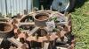 (4) BRILLION SPROCKET WHEELS - 4