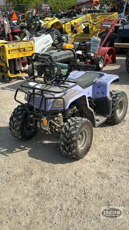 DAYMAK 110C YOUTH ATV