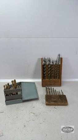 ASSORTED DRILL BITS AND FIVE SHORT AUGER BITS