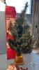 CHRISTMAS LOT - 5