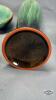 BLUE MOUNTAIN POTTERY LOT - 8