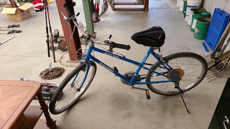 Ladies Raleigh Gator 15-speed Bicycle