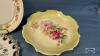 ASSORTED PLATE LOT - 7