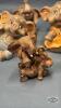 ELEPHANT LOT - 3