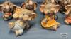 ELEPHANT LOT - 4