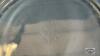 PYREX GLASSWARE LOT - 5