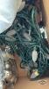 QUANTITY OF CHRISTMAS DECORATIONS AND LIGHTS - 4