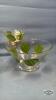 2PC 1950'S CHIP AND DIP BOWL - 4