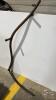 WOODEN HANDLED SCYTHE - 3