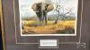 FRAMED ELEPHANT PRINT "SAVANNAH MASTERS" - 2