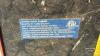 POWERFIST 6/12VOLT CHARGER - 5
