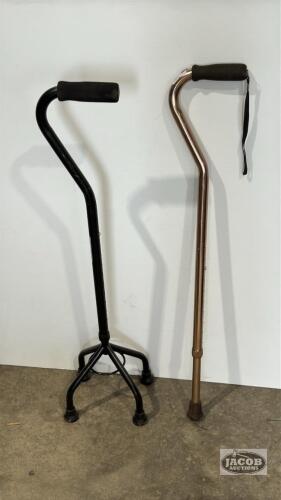 2 CANES
