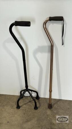 2 CANES