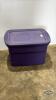 STERILITE TOTE WITH LID