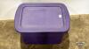 STERILITE TOTE WITH LID - 2