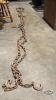 (3) CHAINS