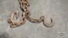 (3) CHAINS - 2