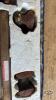 AUTO BODY SHAPING HAMMERS - 2