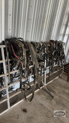 ASSORTED LOT OF BIOTHANE AND NYLON WORK HARNESS.