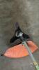 STIHL FS110R STRAIGHT SHAFT TRIMMER - 3