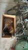 ASSORTED TACK LOT - 7