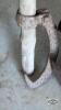 POST HOLE CLAM SHOVEL, HEAVY LONG PRY BAR AND CANT HOOK - 5