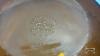FIREKING 8IN DISH WITH LID - 5