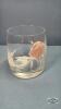 CLEAR GLASS WITH FLOWER PATTERN LOT - 2