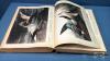 HARD COVER BIRDS OF AMERICA BOOK - 3