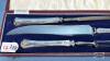 (3) PIECE CARVING SET IN CASE - 3