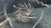 PINWHEEL CRYSTAL FOOTED 9IN BOWL - 6