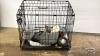 DOG CRATE WITH DOG TOYS - 2